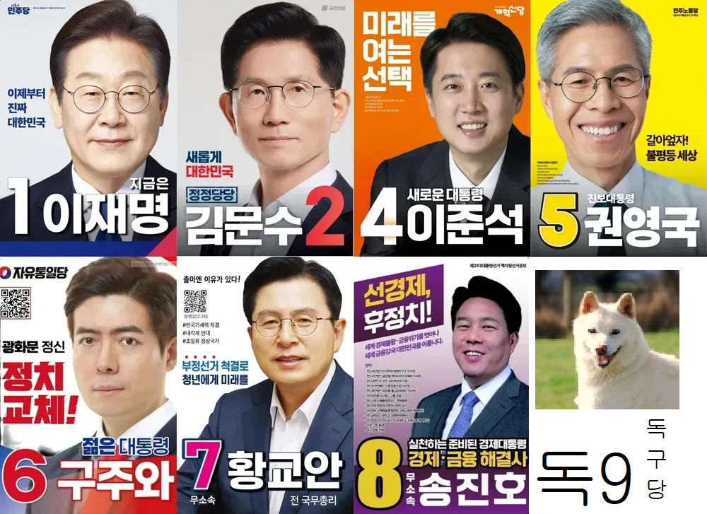 선거.png
